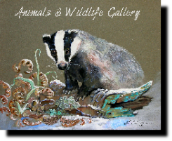 badger picture, gallery, galleries